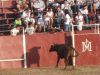 Foto relacionada con: La Feria 2009 da a da (jueves 6 de agosto)