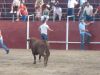 Foto relacionada con: La Feria 2009 da a da (jueves 6 de agosto)